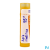 Apis mellifica 15ch tg b - La Grande Pharmacie