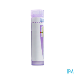Apis mellifica 30ch tg b - La Grande Pharmacie