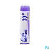 Arnica montana 30ch do gl b - La Grande Pharmacie