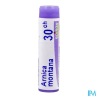 Arnica montana 30ch do gl b - La Grande Pharmacie