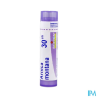 Arnica montana 30ch tg b - La Grande Pharmacie
