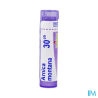 Arnica montana 30ch tg b - La Grande Pharmacie