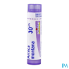 Arnica montana 30ch tg b - La Grande Pharmacie