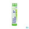 Arnica montana 5ch tg b - La Grande Pharmacie