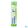 Arnica montana 5ch tg b - La Grande Pharmacie