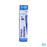 Arnica montana 9ch tg b - La Grande Pharmacie