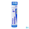 Arnica montana 9ch tg b - La Grande Pharmacie