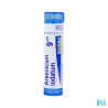 Arsenicum iodat 9ch tg b - La Grande Pharmacie
