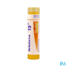 Belladonna 15ch tg b - La Grande Pharmacie