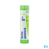 Bellis perennis 5ch tg b - La Grande Pharmacie