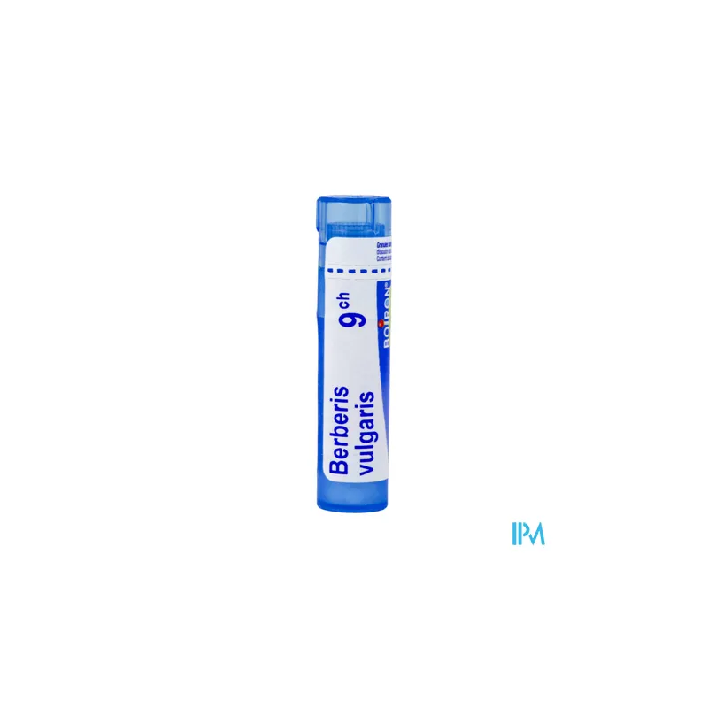 Berberis vulg 9ch tg b - La Grande Pharmacie