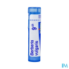 Berberis vulg 9ch tg b - La Grande Pharmacie