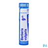 Berberis vulg 9ch tg b - La Grande Pharmacie