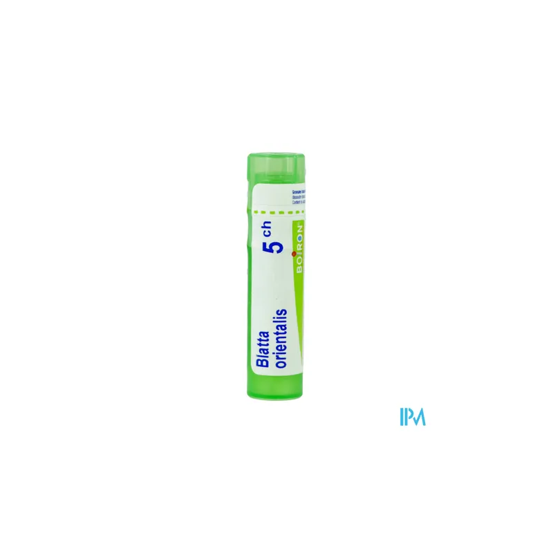 Blatta oriental 5ch tg b - La Grande Pharmacie
