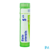 Blatta oriental 5ch tg b - La Grande Pharmacie