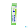 Caladium seguin 5ch tg b - La Grande Pharmacie