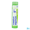 Caladium seguin 5ch tg b - La Grande Pharmacie