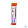 Calcarea carb os 7ch tg b - La Grande Pharmacie