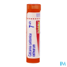 Calcarea carb os 7ch tg b - La Grande Pharmacie