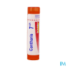 Cantharis 7ch tg b - La Grande Pharmacie