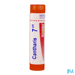 Cantharis 7ch tg b - La Grande Pharmacie