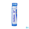 Cantharis 9ch tg b - La Grande Pharmacie
