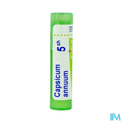 Capsicum annuum 5ch tg b - La Grande Pharmacie