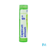 Capsicum annuum 5ch tg b - La Grande Pharmacie