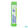 Capsicum annuum 5ch tg b - La Grande Pharmacie