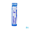 Capsicum annuum 9ch tg b - La Grande Pharmacie