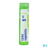 Carbo vegetabil 5ch tg b - La Grande Pharmacie