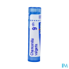 Chamomilla vulg 9ch tg b - La Grande Pharmacie