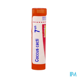 Coccus cacti 7ch tg b - La Grande Pharmacie
