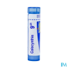 Colocynthis 9ch tg b - La Grande Pharmacie