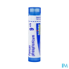 Ferrum phos 9ch tg b - La Grande Pharmacie