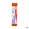 Kalium bichrom 7ch tg b - La Grande Pharmacie