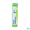 Kalium carb 5ch tg b - La Grande Pharmacie