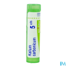 Kalium carb 5ch tg b - La Grande Pharmacie