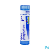 Kalium phos 9ch tg b - La Grande Pharmacie