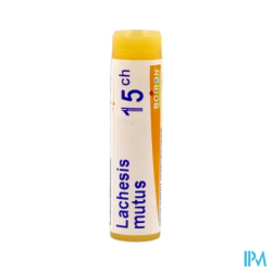 Lachesis mutus 15ch do gl b - La Grande Pharmacie