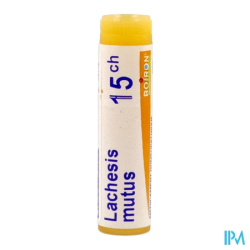 Lachesis mutus 15ch do gl b - La Grande Pharmacie