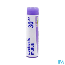 Lachesis mutus 30ch do gl b - La Grande Pharmacie