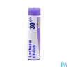 Lachesis mutus 30ch do gl b - La Grande Pharmacie