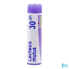 Lachesis mutus 30ch do gl b - La Grande Pharmacie