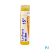 Lachesis mutus 15ch tg b - La Grande Pharmacie