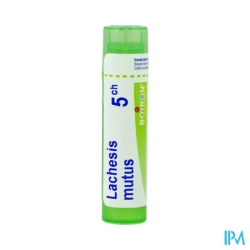 Lachesis mutus 5ch tg b - La Grande Pharmacie