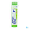 Lachesis mutus 5ch tg b - La Grande Pharmacie