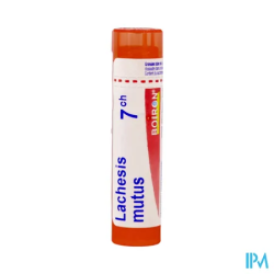 Lachesis mutus 7ch tg b - La Grande Pharmacie