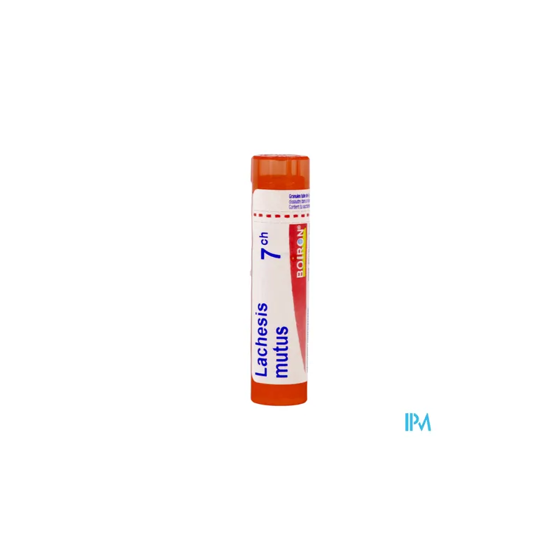 Lachesis mutus 7ch tg b - La Grande Pharmacie