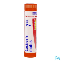 Lachesis mutus 7ch tg b - La Grande Pharmacie